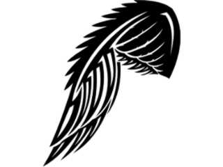  Wings_ 0 0 6 2 Decal Proportional