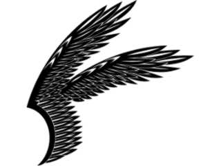  Wings_ 0 1 1 0 Decal Proportional