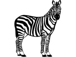  Zebra_ 1 4 5_ V A 1 Decal Proportional