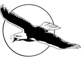  Birds_ Eagle Flying T G_ P A 1 Decal Proportional