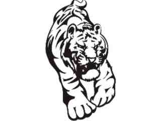  Cats Big Lions Tigers Panthers_ 0 3 4 Decal Proportional