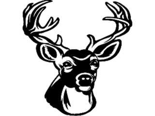  Deer Buck 1 1 Decal Proportional