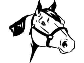  Horse Head 4 Decal Proportional