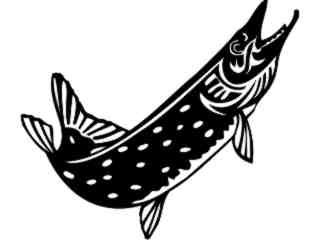  Northern Pike Fish_ 1 4 1_ V A 1 Decal Proportional