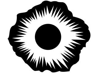  Solar Eclipse Black Decal Proportional