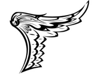  Wings_ 0 0 0 7 Decal Proportional