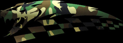 Army Green Camo vinyl